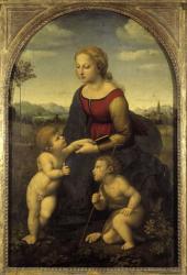 Raffaello Santi: La belle Jardiniere 